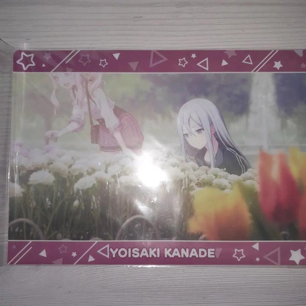 Project Sekai Yoisaki Kanade Carnation Clear File Exhibition
