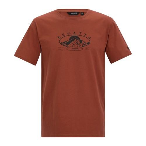 Regatta Mens Cline IX Mountain T-Shirt