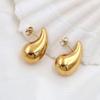 French Personality Trendy Style Metal Does Not Fade, Gold-Plated Exaggerated Natural Water Drop Shape Hollow Earrings For Girls
