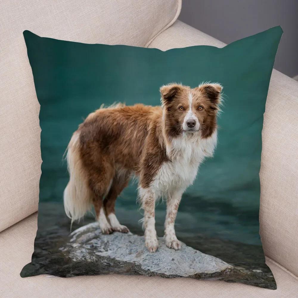 Cute Pet Animal  Cushion Cover Scotland Border Collie Pillowcase for Sofa Car Decor Dog Printed Soft Plush Pillow Case