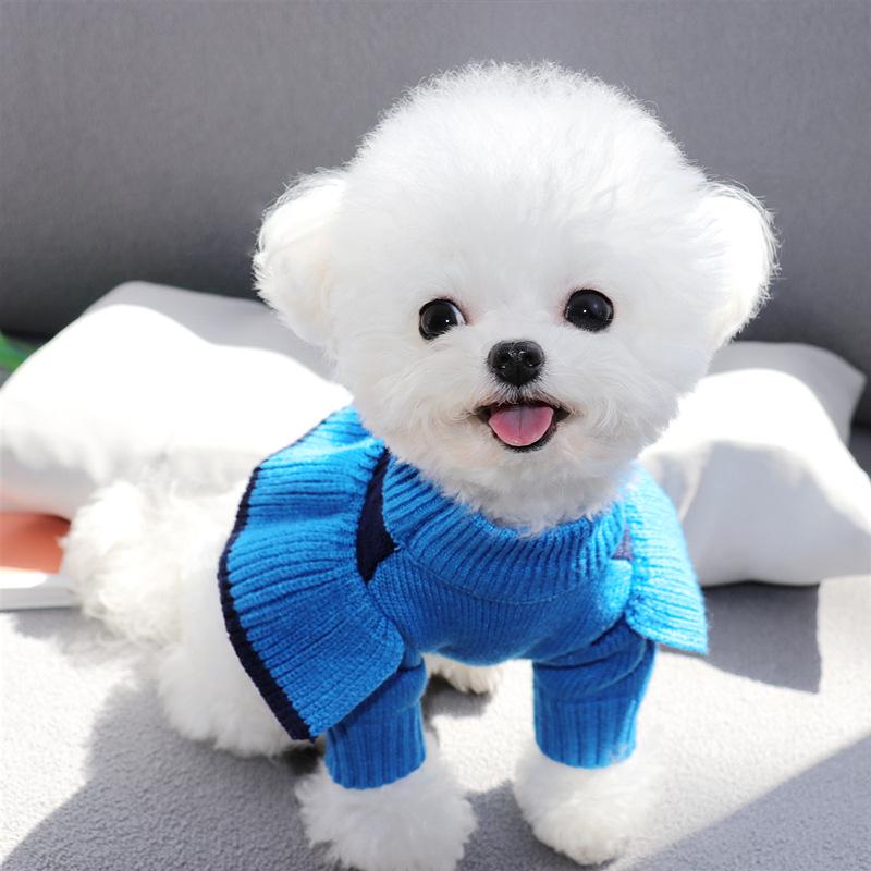 Bixin Herbst/Winter 2023 Kleidung für kleine Hunde und Katzen, Welpenbekleidung für Bichon, Teddy, Zwergspitz