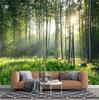 3d Green Forest Murals Nature Scenery Wall Murals Living Room Bedroom Forest Wallpaper Home Decor