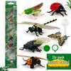 Children's Educational Learning Cards: 12 Types of Hand-Painted Dinosaur and Marine Animal Models