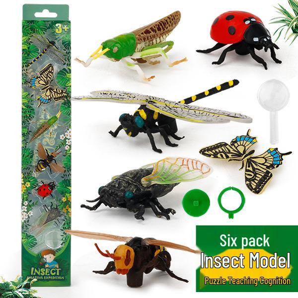 Children's Educational Learning Cards: 12 Types of Hand-Painted Dinosaur and Marine Animal Models