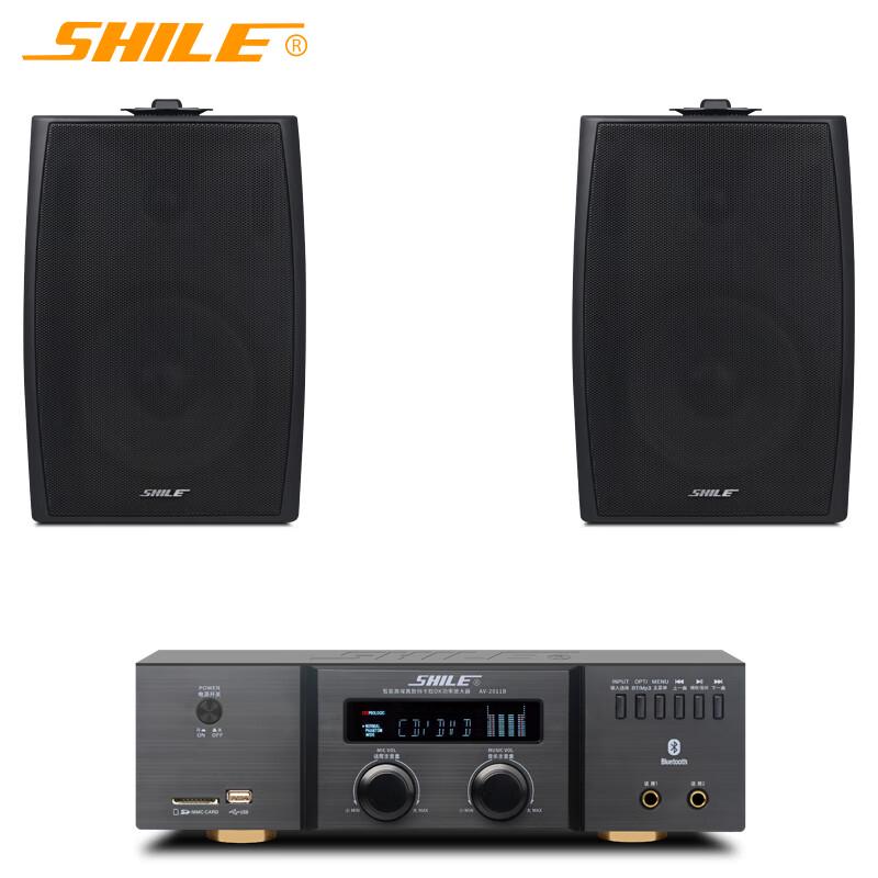 SHILE Professional Wall-Mounted Conference Audio System CN plug (adapter included)
