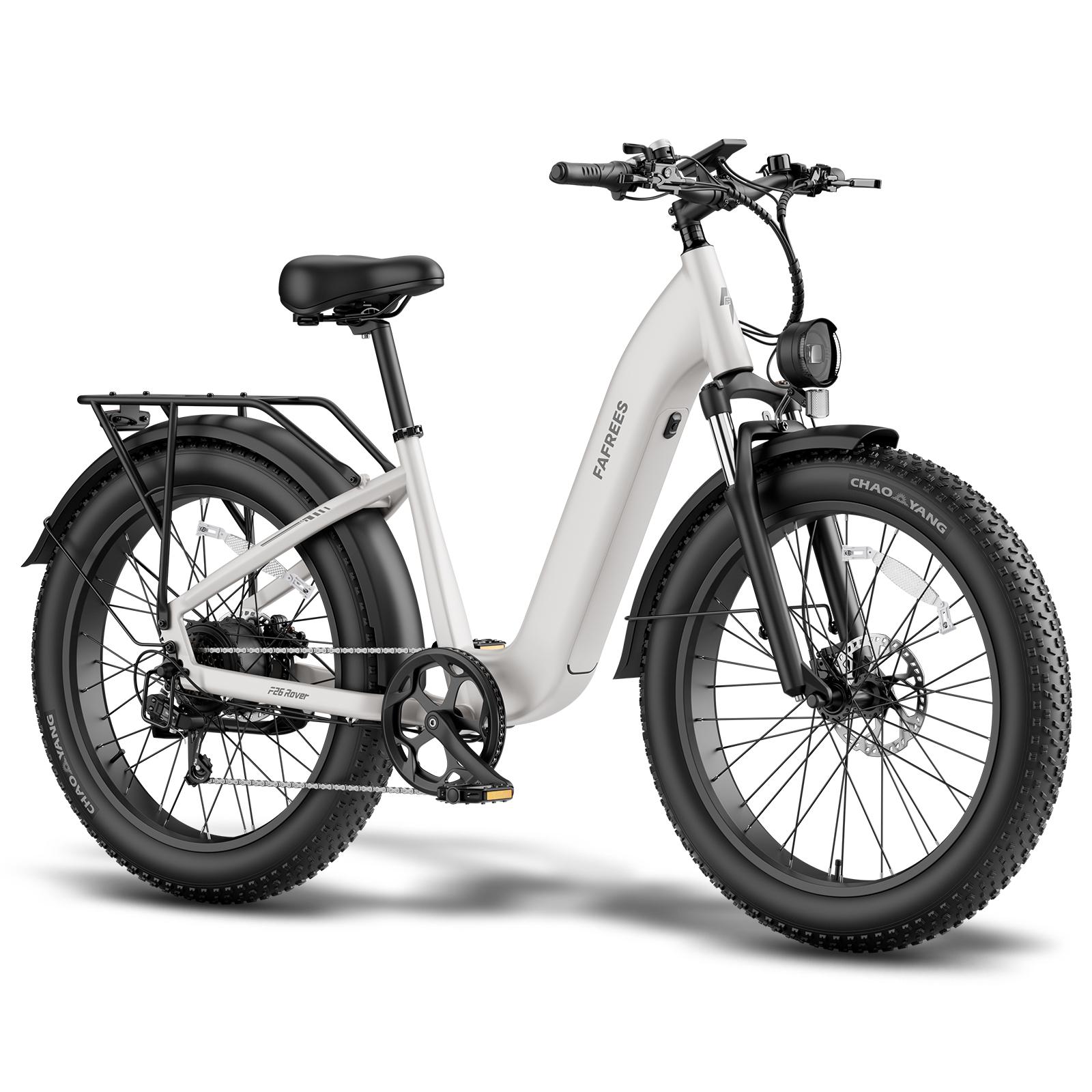 FAFREES F26 ROVER Elektrofahrrad 48V 20AH Akku 250W Motor grau
