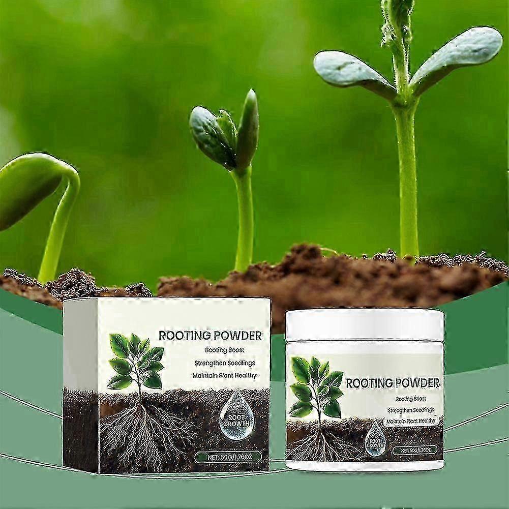 Doff Rooting Powder, Promotes Healthy Roots, Natural_yg4