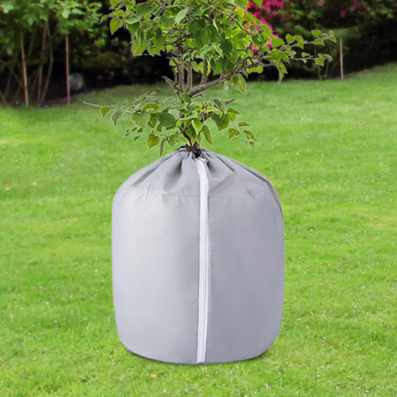 

Укрытие для растений от холода