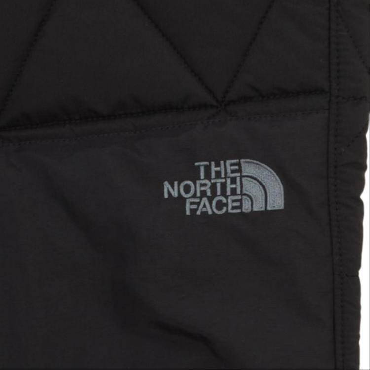 THE NORTH FACE THE NORTH FACE Apparel Collection SS24 Casual Pants Men's Black NP6NQ55A