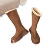 Thick-soled Snow Boots Women's 2025 New Winter Velvet Thickened Thermal Boots High-heeled Small High Cotton Boots