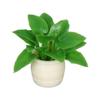 5pcs Mini 1:12 Dollhouse Miniature Plant Finished Flower  Outdoor Doll House Model Accessories