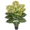 Nordic Style Faux Pothos Bonsai for Indoor Décor