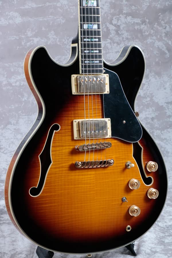 IBANEZ /John Scofield Signature Model JSM10-VYS Vintage Yellow Sunburst (VYS)