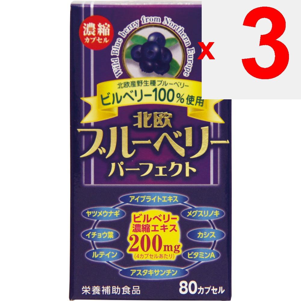 Wellness Japan Nordic Blueberry Perfect 80 Capsules Eye Strain Blueberry