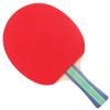 DHS Table Tennis Racket Set (2 Rackets + 1 Ball)