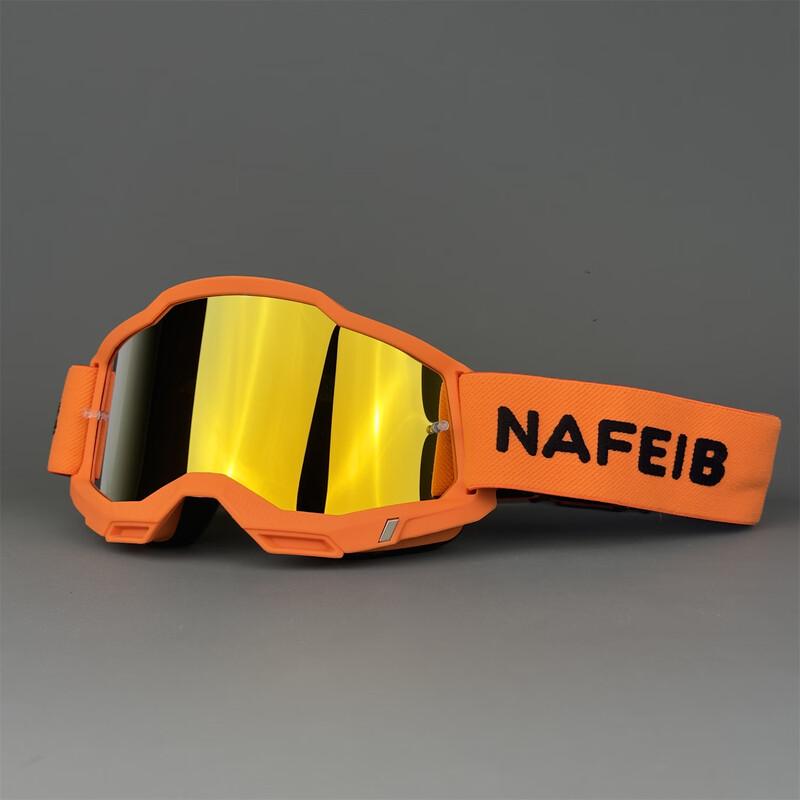 Lishi N254 Motorcycle Riding Goggles