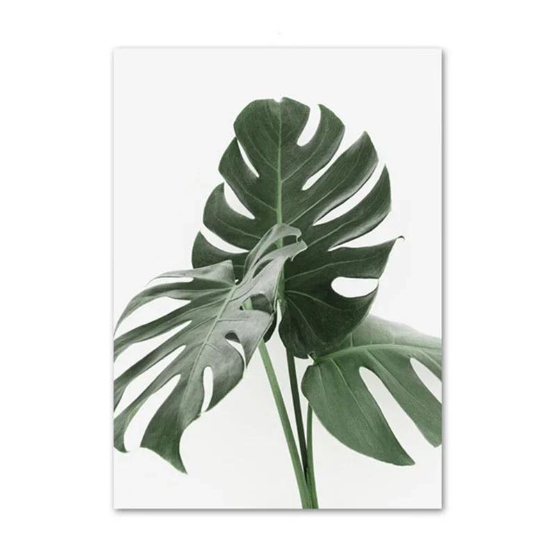 Green Plant Painting Flower Peony Poster, Wall Art, Canvas Picture, Nordic Posters, Eucalyptus for Living Room, Bedroom, Home De
