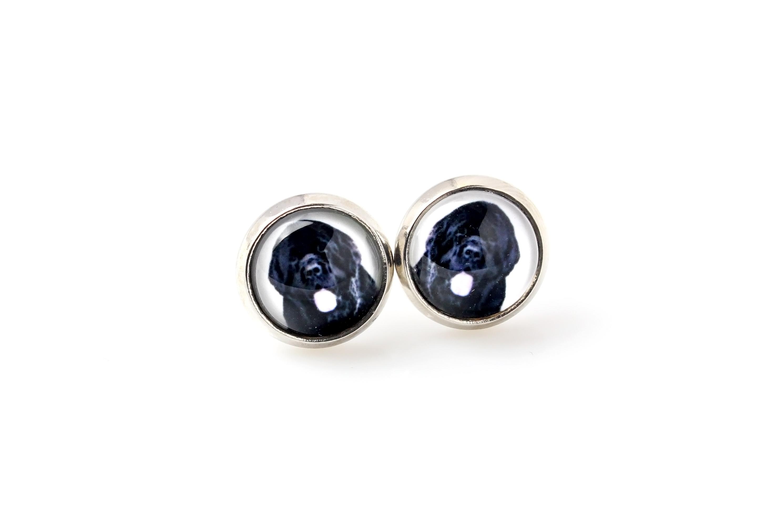 

Newfoundland, Newfs, Newfies - earrings your photo handmade, own photo, jewelry from the Art.-Dog brand срібний