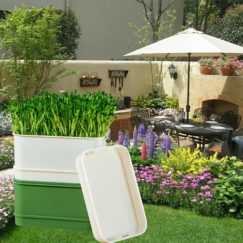 Sprouting Tray Box Vegetable Soilless Pea Bean Seedling Nursery Trays Hydroponics Sprout Plate Seed Sprouter Garden Tools