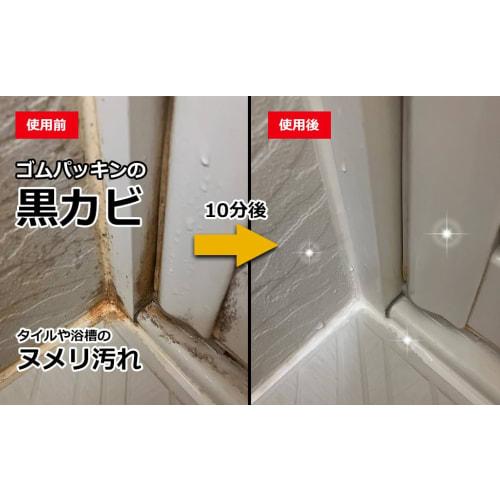 Souma PALCCOAT Mold Buster PRO 300ml, a Powerful, Highly Concentrated Foam Mold Remover for Professional Use (bathroom, Rubber Seals, Wallpaper)