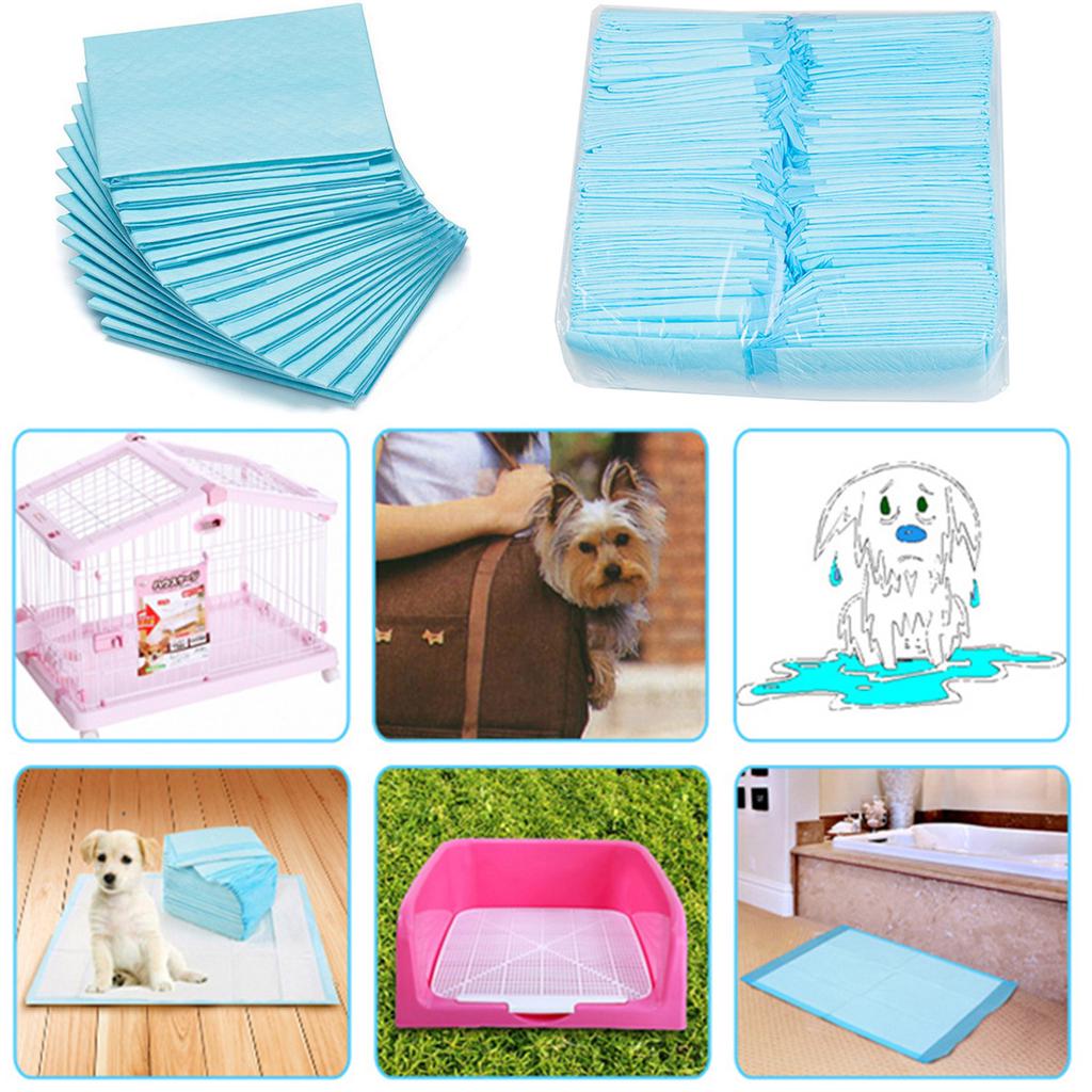 kitten training pads