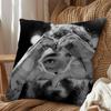 Take My Heart Post Malone Pillow Case Antidustmite Pillowcase Invisible zipper silky short plush Sofa cushion cover