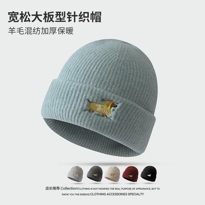 Embroidery Raincoat Puppy Knitted Hat Warm and Cold Hat Children Autumn and Winter Versatile Fashion Men's Casual Wool Hat
