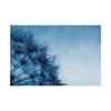 Romantic Dandelion Background Tapestry for Events,Party Banner,Home Decor,Weddings,Photo Booths