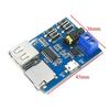 Mp3 Lossless Decoding Board Comes With Power Amplifier Mp3 Module Mp3 Decoder Tf Card Usb Decoding Player