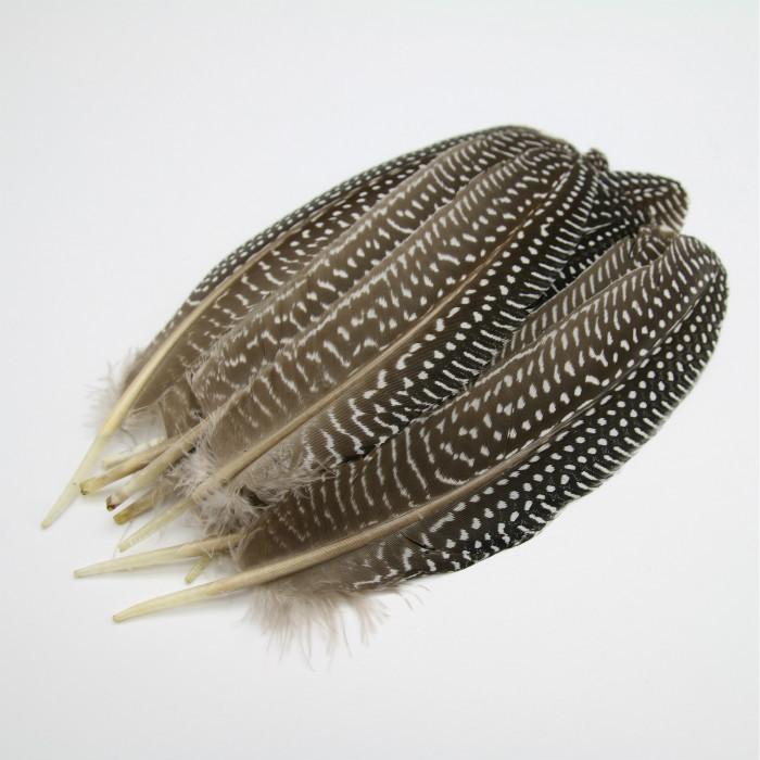 50Pcsdiy Jewelry Accessories Feather Diy Feather Headdress Corsage Hat Shoes Handicrafts Decorative Materials