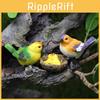 Resin Figurine Bird Set With Bird Nests For Wedding And Decorations Party
