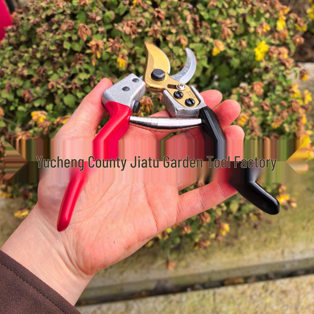 Multifunctional SK5 Garden Pruning Shears: Sharp, Labor-Saving Scissors for Fruit Trees and Plants.