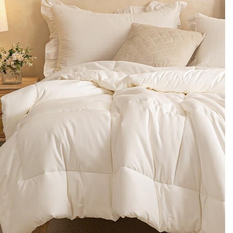 Muji Traceable Series 100% Xinjiang Cotton Winter Quilt