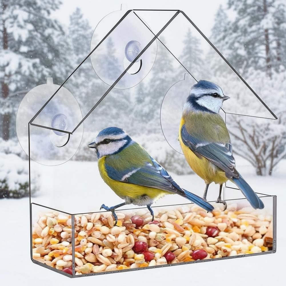 Transparent Bird Feeder Outdoor Outside Hanging Bird Feeder House with Suction Cup Sliding Automatic Birds Feed Tray for Garde