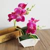 Butterfly Orchid Flower Home Office Decor with Flowerpot