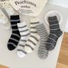5 Pairs of Striped Socks - Fall Simple Color-patterned Mid-calf Socks, Fashionable and Versatile, Without Bones, Pile-style Socks