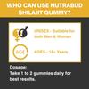 Nutrabud Pure Shilajit Gummies 100mg For Daily Energy And Stamina Support Tamarind Flavour Veg Supplement 60 Count Pack Of 1