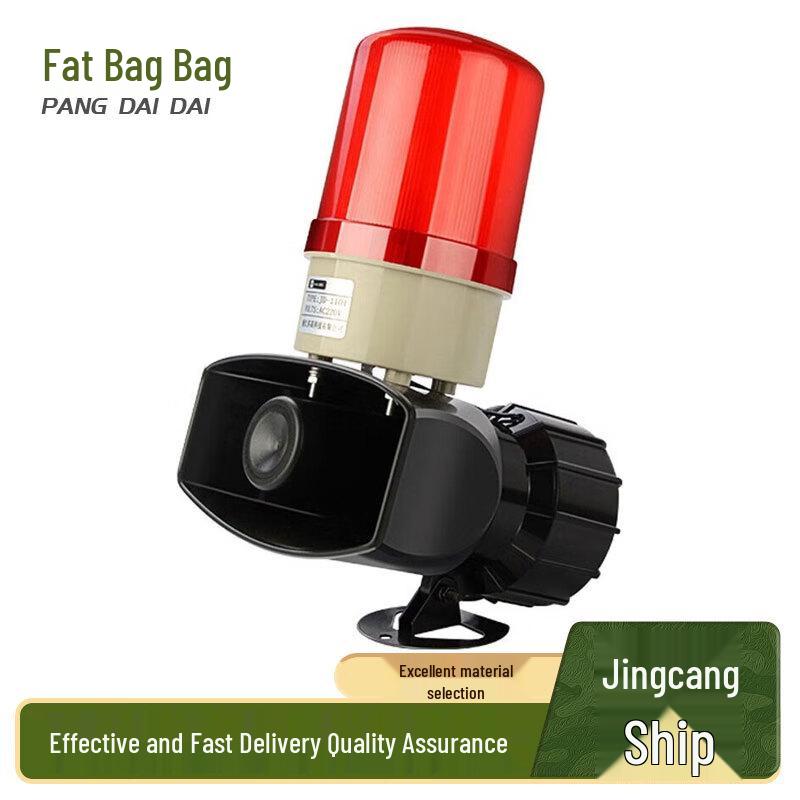 Loud Light and Sound Alarm