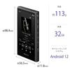 Sony Walkman 32GB A300 Series Streaming LDAC HD Codec MP3 microSD Card Touch Up to 36 Hours of Continuous 360 Reality Audio Black NW-A306 Wireless,