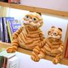 Gatto di Peluche Arancione Grasso da 30cm Gatto Tigrato Giallo Morbido Cartone Animato Carino Anime Peluche Regalo di Compleanno per Bambini Giocattolo Morbido di Peluche per Bambini