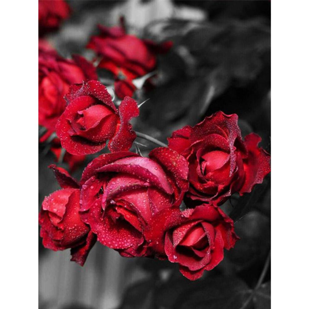 Diamond Painting Flower Rose Full Drill 5D Home Decor Diamond Embroidery Black Red Mosaic Wall Stickers