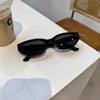 2 Pcs Korean Version Trendy Retro Cat Eye Sunglasses for Women Hip Hop Western Casual Simple Plain Outdoor  Glasses