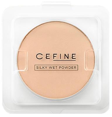 Make-up na obličej – Pudry