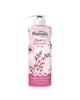 Organic Fragrance Shower Gels - Petrova Line - Moisturises and Cleanses your skin
