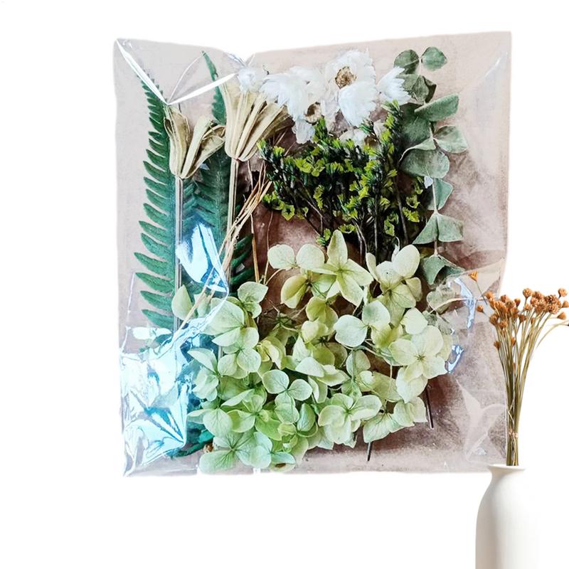 Natural Plants Dried StarrySky Flowers Preserved Materials Kit Epoxy Resin Candles Soap DIY Floral Materials Set Dried Flowers