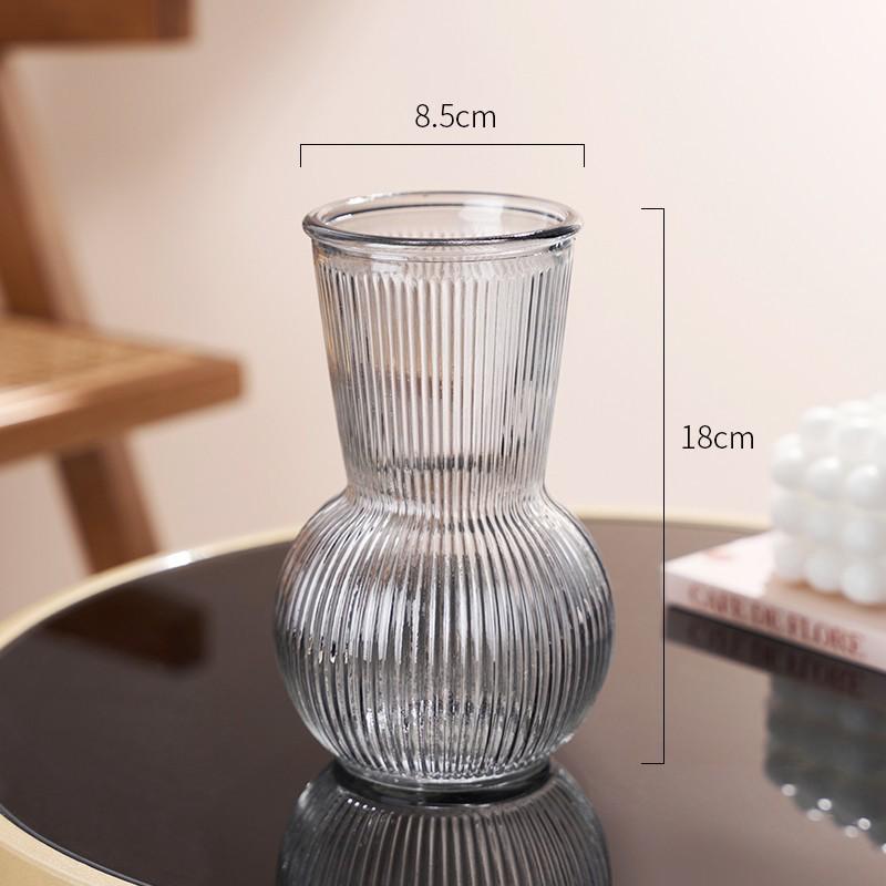 Internet Celebrity Style Transparent Glass Vase for Hydroponic Flower Arrangements - Gypsophila Display for Living Room or Dining Table
