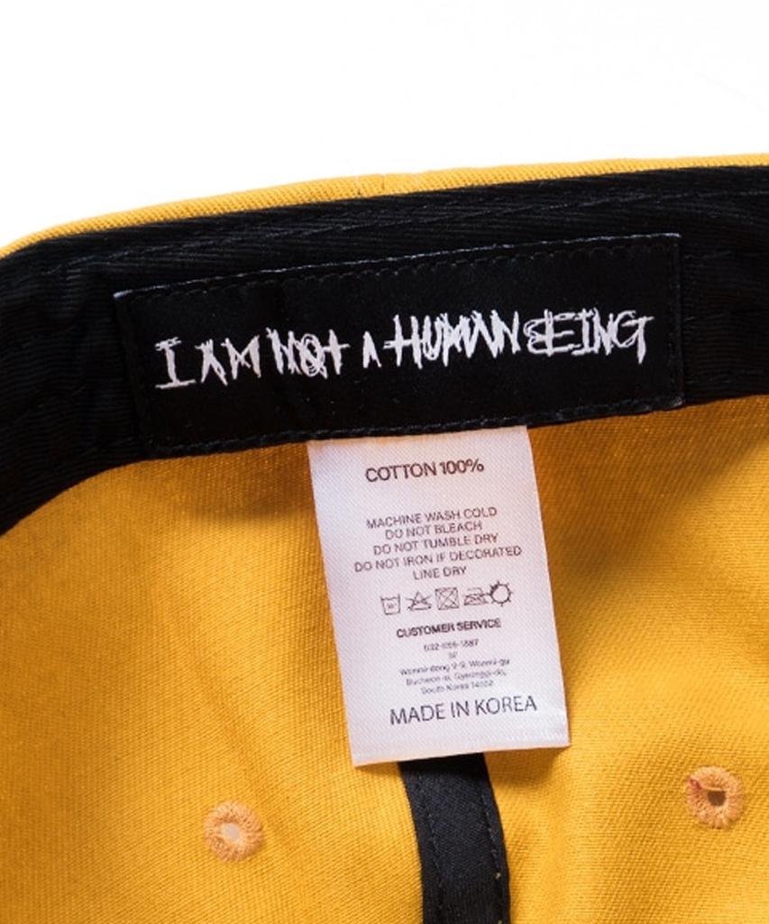 Aimnaseohyumeonbiing Basic Logo Multicolor Cap - Mustard&Brown