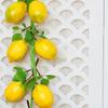 2 buc. Șiruri de Fructe Artificiale de Lămâie Decor Agățat Bucătărie Fermă Artă Ornamente