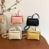 Lychee Metal Clip Crossbody Bag Women's Shoulder Bag