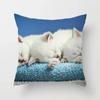 Cute Cat Sofa Pillowcase Cushion Cover     Bed Home Living Room Car Office